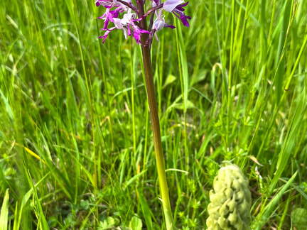 22-05-08 11-16-35 0766